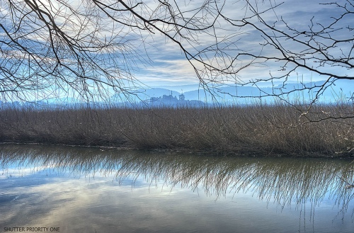 Tranquillity