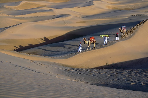 DESERT WALK