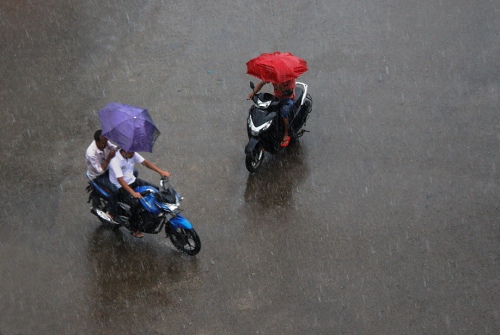 RAINY SEASONS