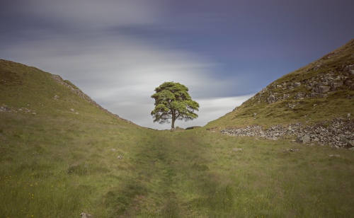 Sycamore Gap