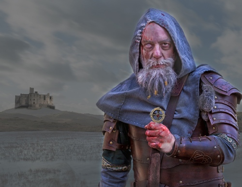 Viking Lord