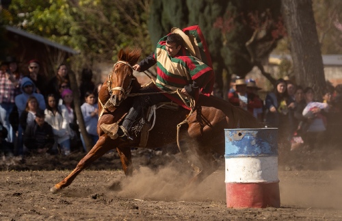 Equestrian games