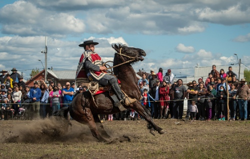 Huaso in race