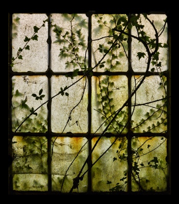 Natura Astratta