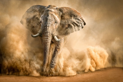 Sandstorm