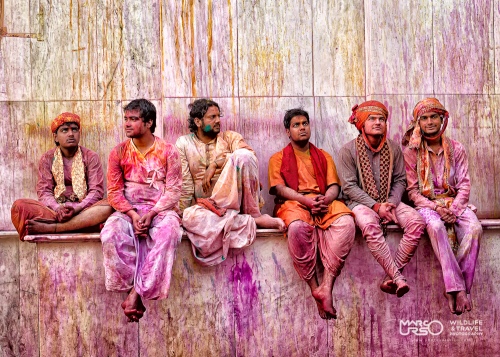 Holi Festival