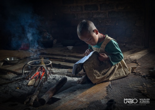 The Young Reader