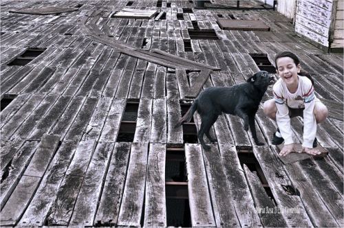 Perla con can negrito jugando 
