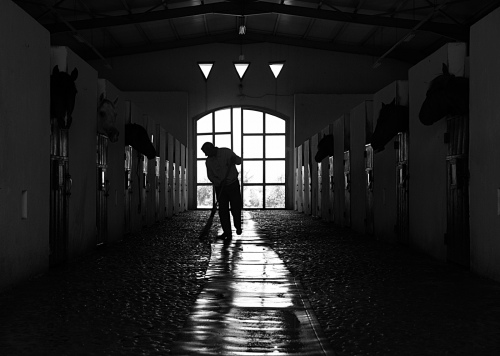 The horse taker