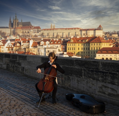 The little violinist