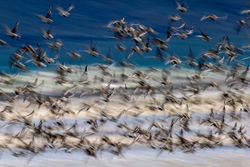 In flight