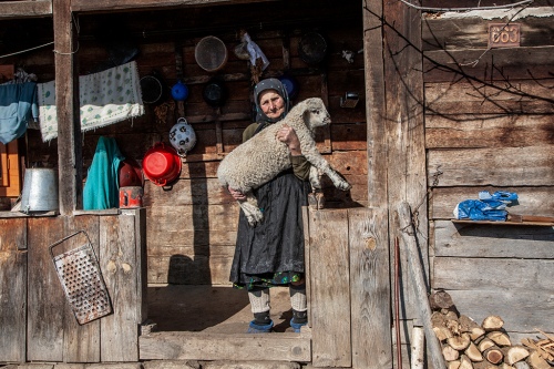 Woman with lamb