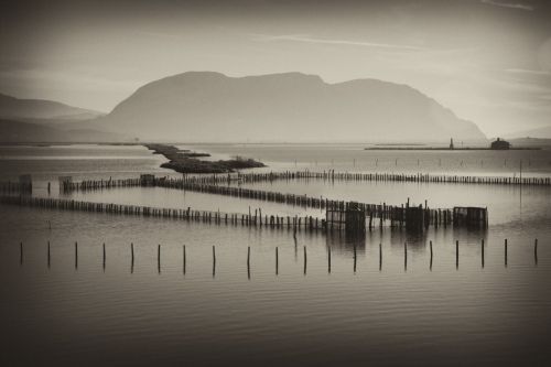 fish farming