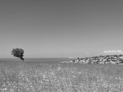 loneliness