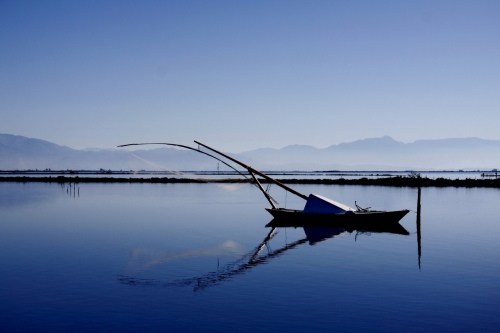 mesologi lagoon