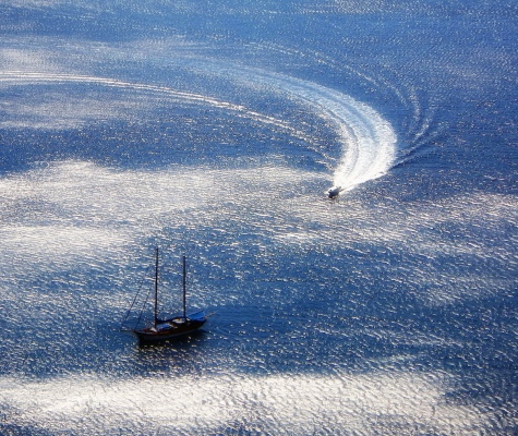 sea lovers