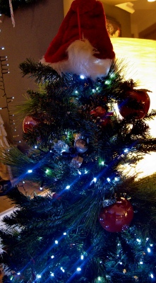 xmas tree