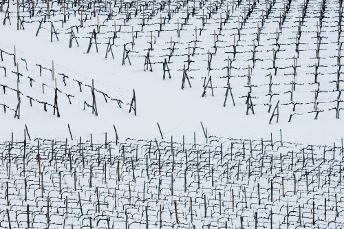 Chianti
