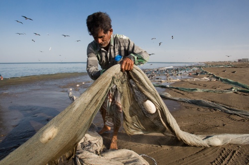 Fisherman