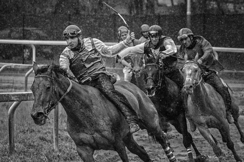 Horse race