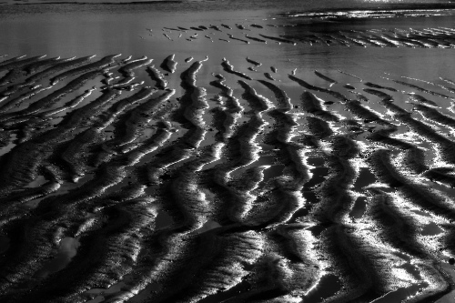 Low tide