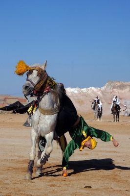 horse riding