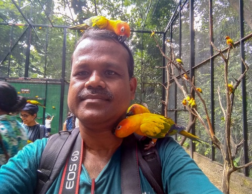 BISWAJIT MANDAL