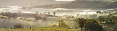 BRUMES MATINALES
