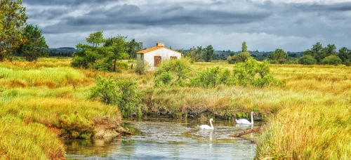MARAIS SALANTS