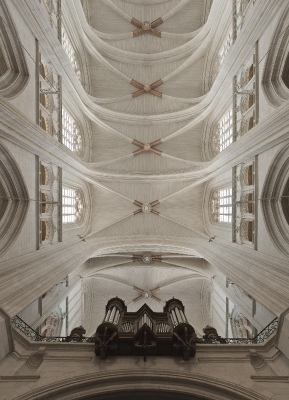 ORGUE