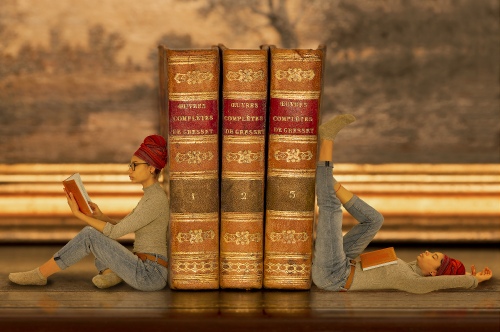 PRESSE LIVRES