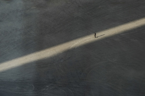 Sunshine guest