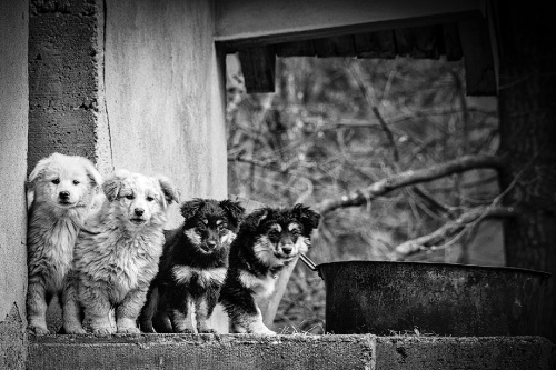 Curious 2