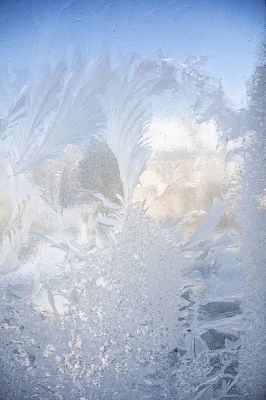 Frost