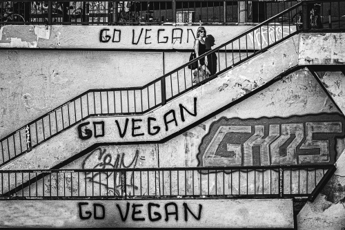 Go Vegan