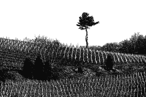 Graphic landscape