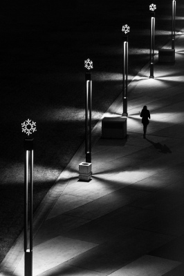 nenadborojevicfoto@gmail.com