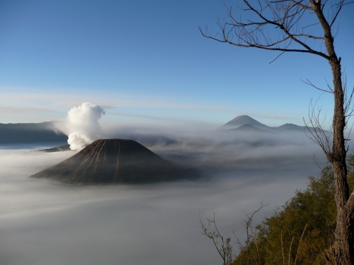 JAVA BROMO
