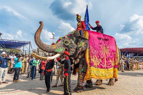dasara elephant