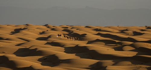 Bedouin caravan