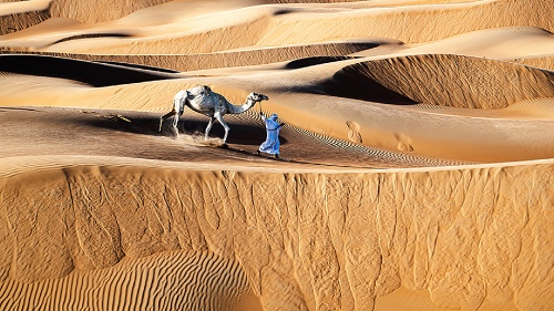 Desert Ship