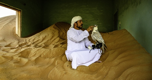 falconer