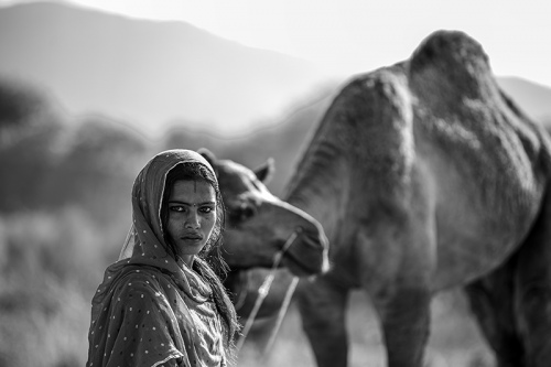 Jaipur eyes