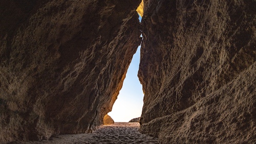 the light
