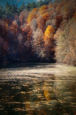 1st Polo lake