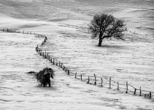 FARMER