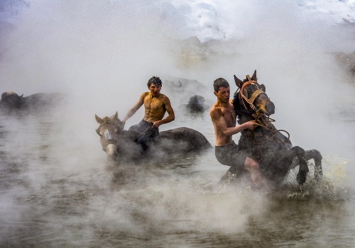 Horse Wash