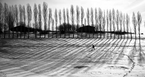 shadow