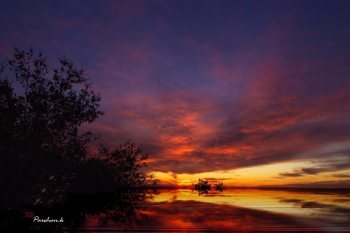 sunset