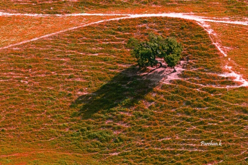 Um Al Namel Valley